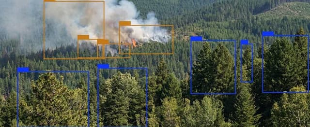 Применение технологии обработки изображений в лесных зонах